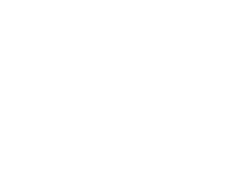 Leitch-McSorley Insurance Agency, LLC - Logo White